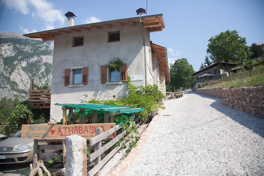 Agriturismo Fattoria Athabaska-1